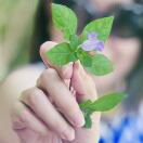 不会游泳的鱼_120