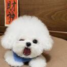 user_toasstqvn2nq98tg member profile picture