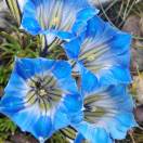 四季的头像-风行者社区