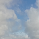 Y（t）C的头像-cg男孩