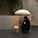 ღ半盏浮生꧔ꦿ᭄ 的头像-辰星笔记