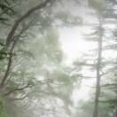 🇨🇳🇭🇰🐬🌹💐💝