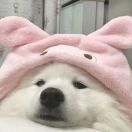 。o  O