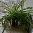 泡沬板，泡沫包装：王春军