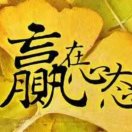 秦巴快讯