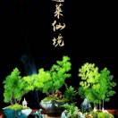 用户头像: