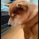 茹悦康