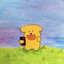 user_27xeqhd1wf8qhxlw member profile picture