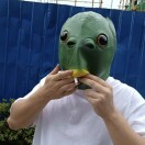 虎啊，起来嗨！