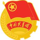 共青团合山市委员会