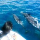 〆丶Komorebi的头像-博士钣金 - www.bsbanjin.com