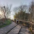 云淡风轻的头像 