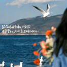 杨登敏