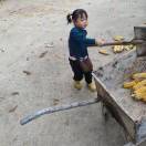 。。。。。。。的头像-博士钣金 - www.bsbanjin.com