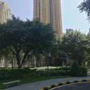 化妆品原料（张ZL