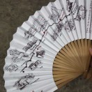 杨青