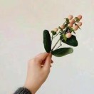 昔日℡-工欲善其事必先利其器宋辞云创