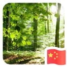 黄玉成