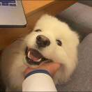 会计宝