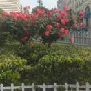 建安汇用户头像