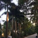 谭艳群的头像-教务资料网