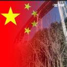 张先生的头像