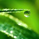 u客直谈实名认证张先生