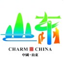 赵辉