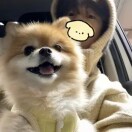 任辛城