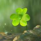 Lucky