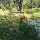 用户49466698的头像 