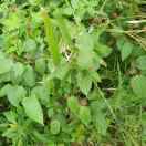 握不住的沙78459