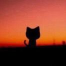 用户92286168的头像-cok论坛 - AGREE动漫游戏