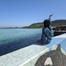 高级测试开发专家
