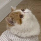 曾诗怡