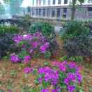 走到那里都想起你们