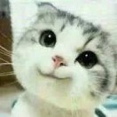 往事隨風(fēng)