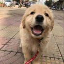 沒什么先生