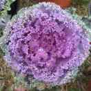 用户99793025的头像 