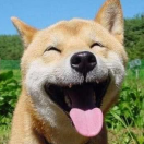 xymxfzxr