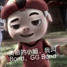 橙橙橙橙橙橙子的头像 - 校园论坛