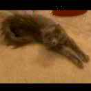 huaye的头像-日本！日本语