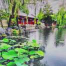 杨秀苓