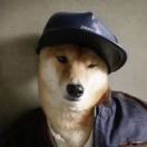 人模狗样的头像-知创网