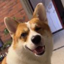 bang.bang的钢琴谱