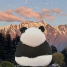 七便士买星辰