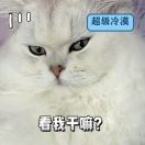 吹风机小朋友-iOS游戏