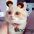 哈林