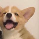 十**