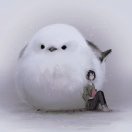 user icon